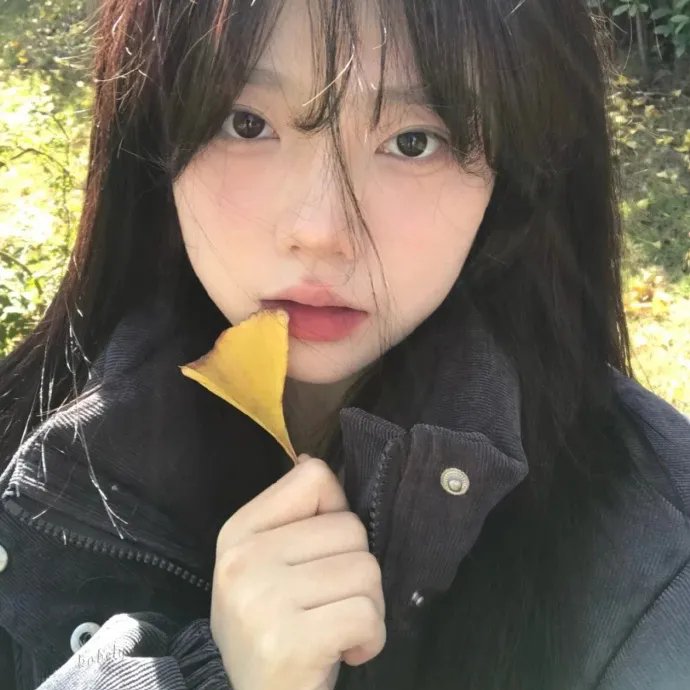 快乐的小鸡