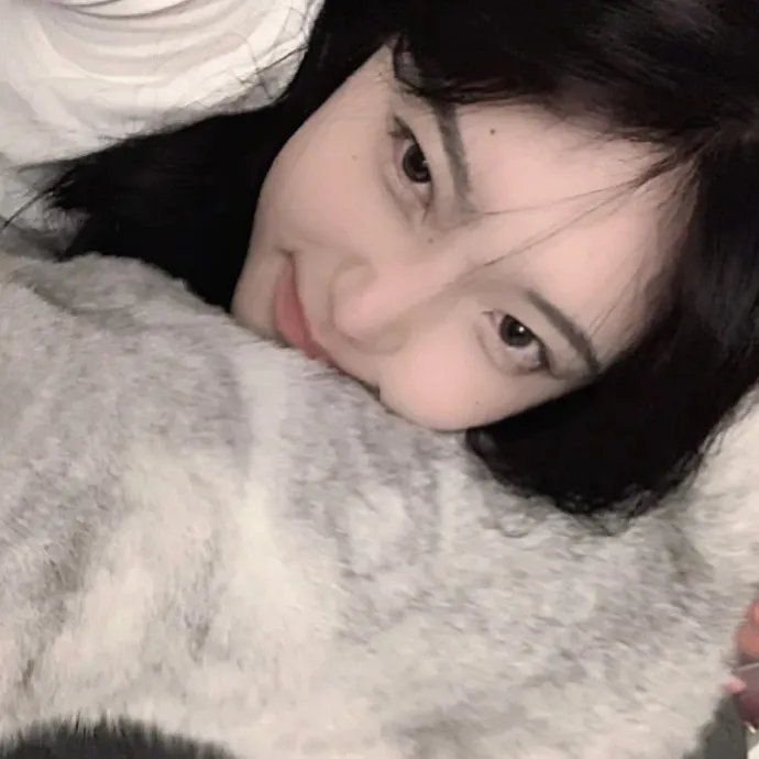 狗狗间谍